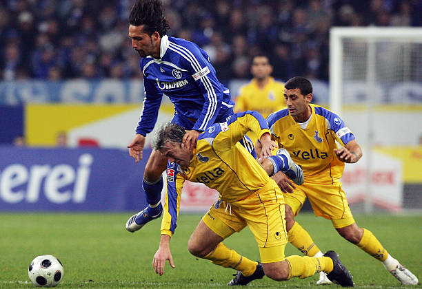 的热爱与不 的热爱与不